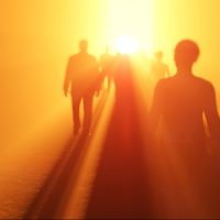 LIFELINE®  14 – 20 Martie 2026, Plaiul Foii