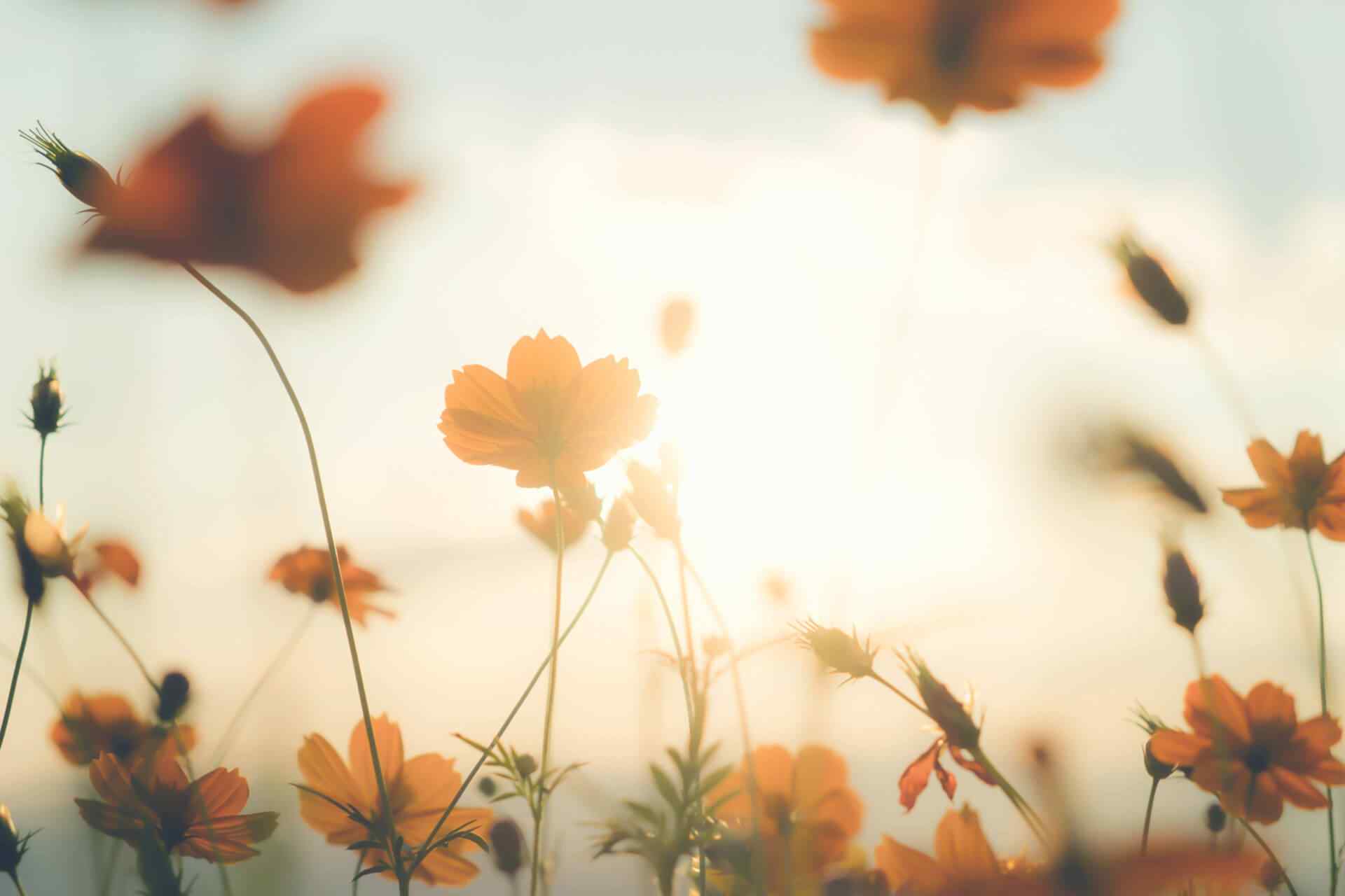 portfolio_02 portfolio_02