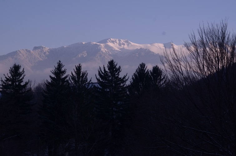 MCF_5276